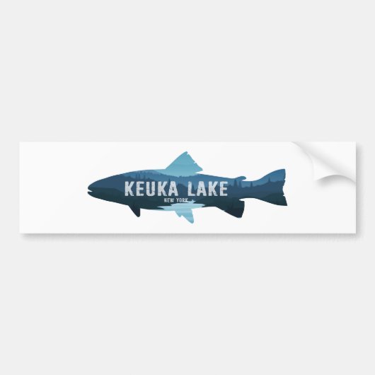 ニューヨーク州カユガ湖の魚 バンパーステッカー (正面)