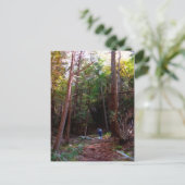 ニューヨーク州ハリマン州パーク ポストカード (スタンド正面)