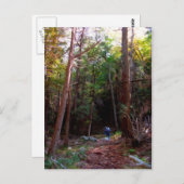 ニューヨーク州ハリマン州パーク ポストカード (正面/裏面)