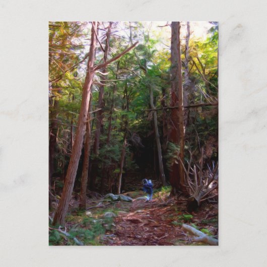 ニューヨーク州ハリマン州パーク ポストカード (正面)