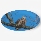 ニューヨーク州ピーキルの未熟なハゲワシ ペーパープレート (アングル)