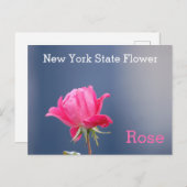 ニューヨーク州フラワーピンクローズ ポストカード (正面/裏面)