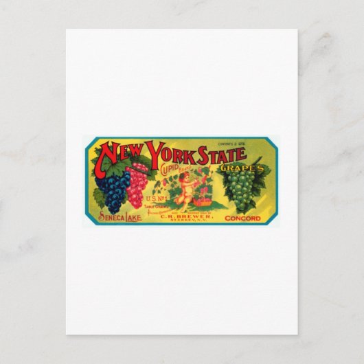 ニューヨーク州ブドウズ ポストカード (正面)