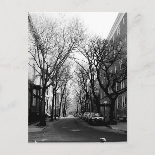 ニューヨーク州ブルックリーの冬 ポストカード (正面)