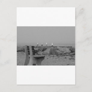 ニューヨーク州ロングアイランドからの挨拶 ポストカード