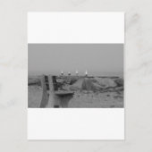 ニューヨーク州ロングアイランドからの挨拶 ポストカード (正面)