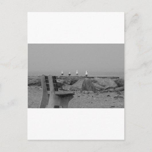 ニューヨーク州ロングアイランドからの挨拶 ポストカード (正面)