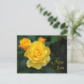 ニューヨーク州花：バラ ポストカード (スタンド正面)