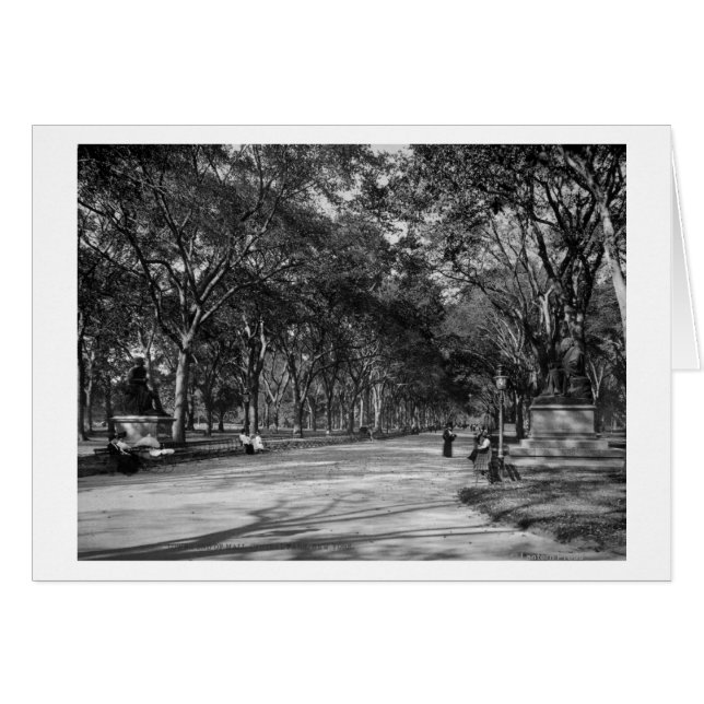 ニューヨーク市のセントラルパークにあるモール (正面横)