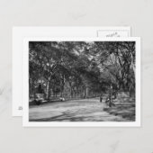 ニューヨーク市のセントラルパークにあるモール ポストカード (正面/裏面)