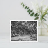 ニューヨーク市のセントラルパークにあるモール ポストカード (スタンド正面)