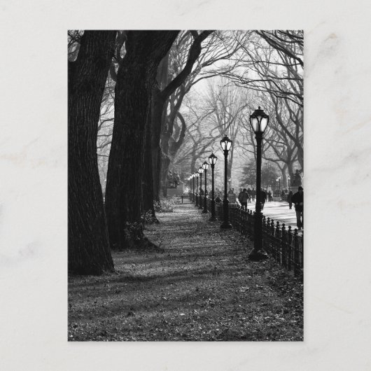 ニューヨーク市のセントラルパーク ポストカード (正面)