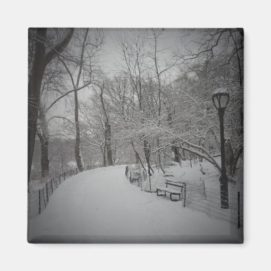 ニューヨーク市中央公園の吹雪 マグネット (正面)