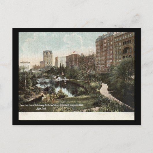 ニューヨーク市中央公園スワンレイク1909 Vintag ポストカード (正面)