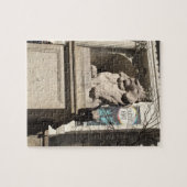 ニューヨーク市公共図書館獅子像 ジグソーパズル (横)