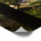 ニューヨーク滝フォトポスター ポスター (角)