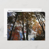 ニューヨーク秋での州ハイキング ポストカード (正面/裏面)