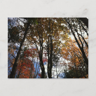 ニューヨーク秋での州ハイキング ポストカード