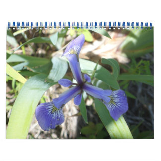 ニューヨーク素晴らしの風景 カレンダー