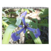 ニューヨーク素晴らしの風景 カレンダー (カバー)