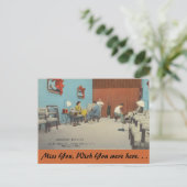 ニューヨーク郊外のブーター、フォレストヒルズ ポストカード (スタンド正面)