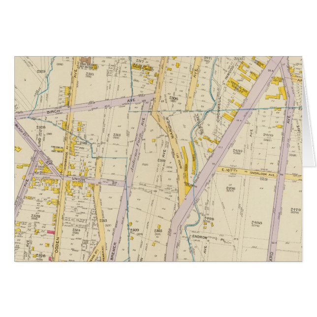 ニューヨーク10 (正面横)