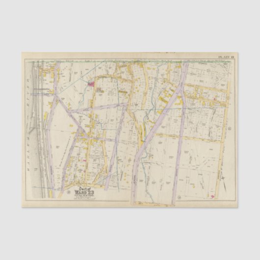 ニューヨーク10 薄葉紙 (正面)