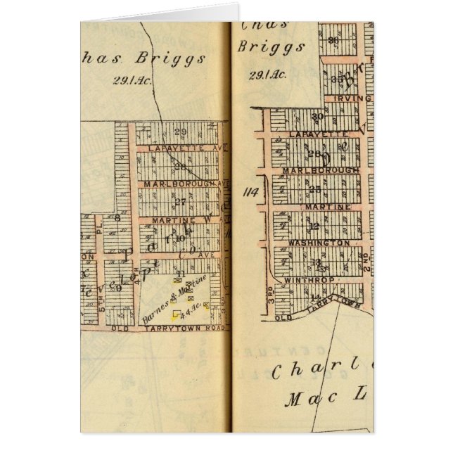 ニューヨーク10, Greenburg (正面)