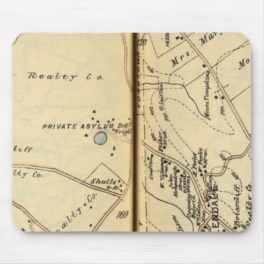 ニューヨーク2山プレザント マウスパッド (正面)