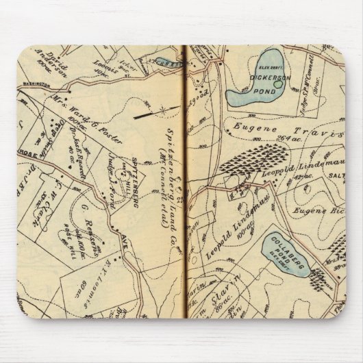 ニューヨーク2·コートランド マウスパッド (正面)