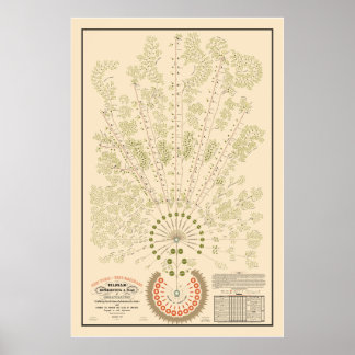 ニューヨーク&エリー鉄道組織 – 軽量 – カラー ポスター