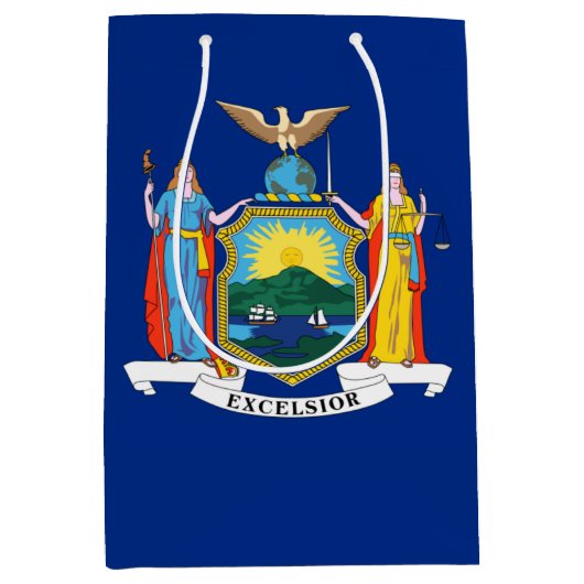 ニューヨーク：エンパイア州、ホームビッグアップル国旗 ミディアムペーパーバッグ (正面)