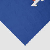 ニューヨーク：エンパイア州、ホームビッグアップル国旗 薄葉紙 (詳細)