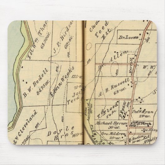 ニューヨーク·サマーズ マウスパッド (正面)