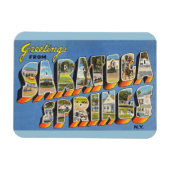 ニューヨーク，サラトガ春マグネット マグネット (横)