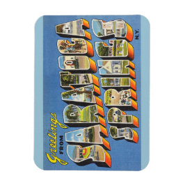 ニューヨーク，サラトガ春マグネット マグネット