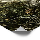 ニューヨーク，サラナク湖 ポスター (角)