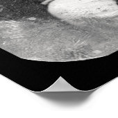 ニューヨーク・トリビューン・ダゲレオタイプ1848 ポスター (角)