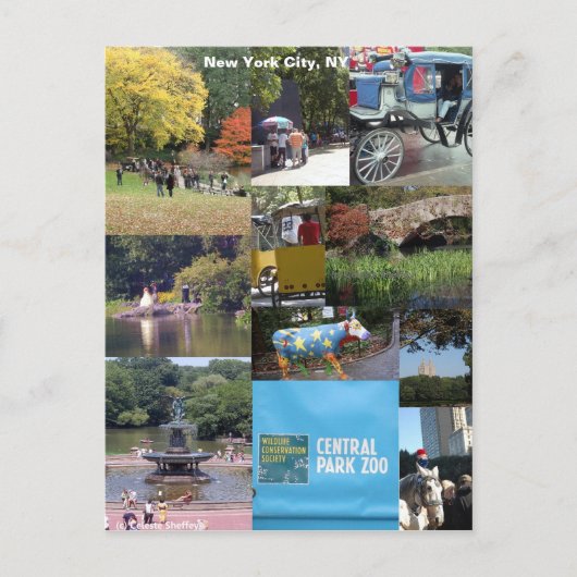 ニューヨーク，ニューヨーク ポストカード (正面)