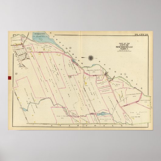 ニューヨーク,ニューロシェル区3 ポスター (正面)