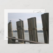 ニューヨーク – バッテリーパーク ポストカード (正面/裏面)