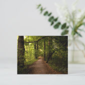 ニューヨーク，パルミラ，聖なる森 ポストカード (スタンド正面)