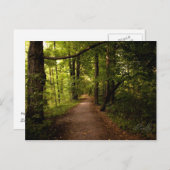 ニューヨーク，パルミラ，聖なる森 ポストカード (正面/裏面)