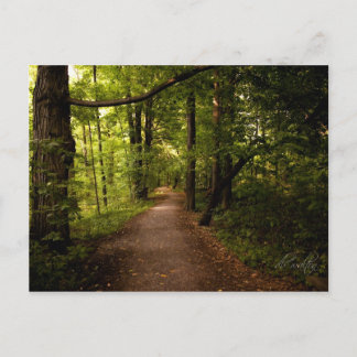 ニューヨーク，パルミラ，聖なる森 ポストカード