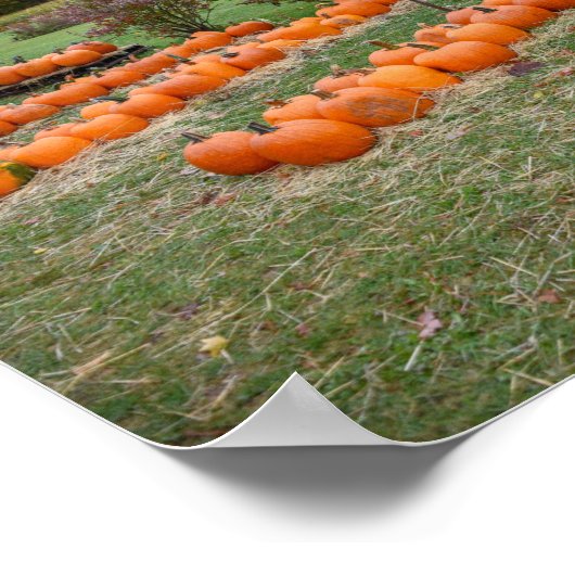 ニューヨーク・ファーム販売のカボチャ ポスター (角)