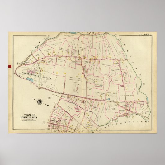 ニューヨーク，ホワイトプレインズ ポスター (正面)