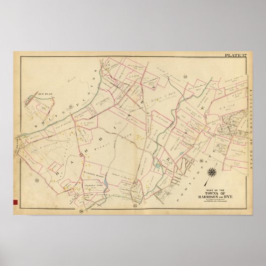 ニューヨーク,リリー,ハリソン2 ポスター (正面)