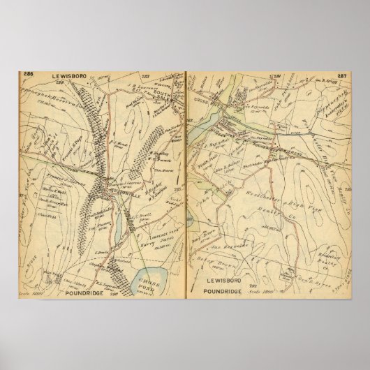 ニューヨーク，ルイズボロ ポスター (正面)