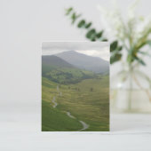 ニューランズ・ヴァレー・ポストカード ポストカード (スタンド正面)