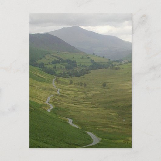 ニューランズ・ヴァレー・ポストカード ポストカード (正面)